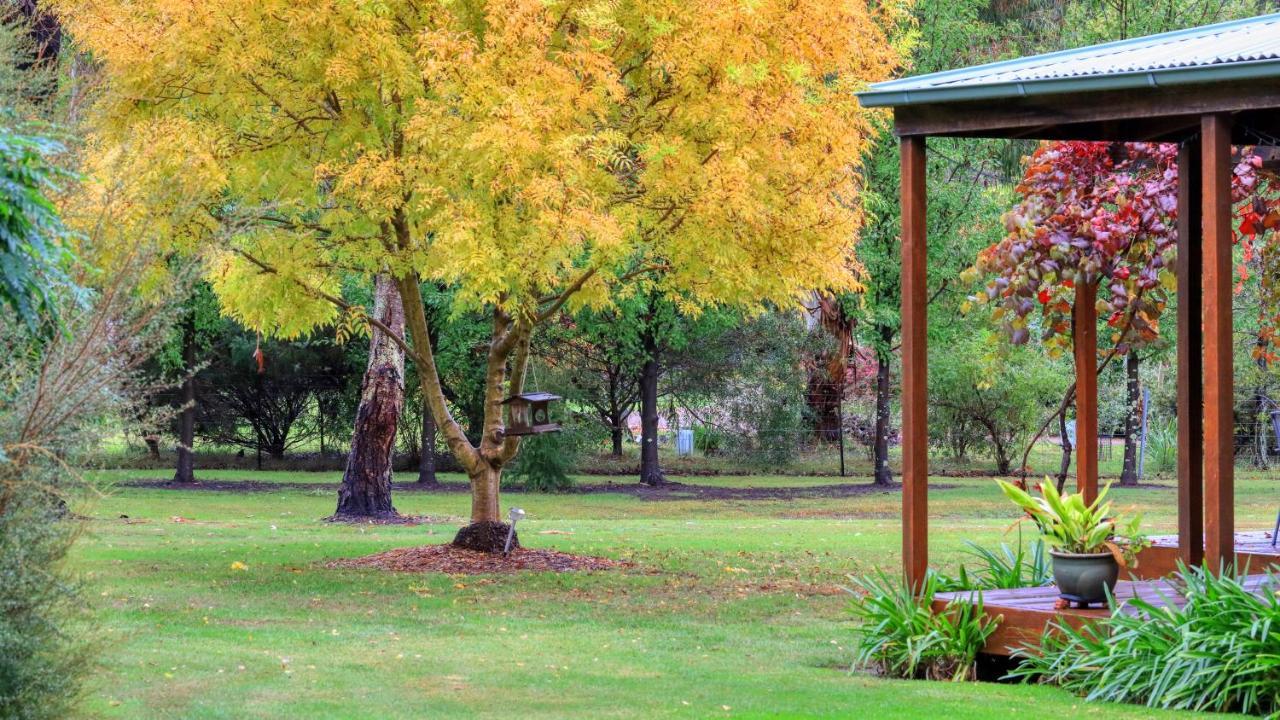 Beechworth Cedar Cottages 외부 사진